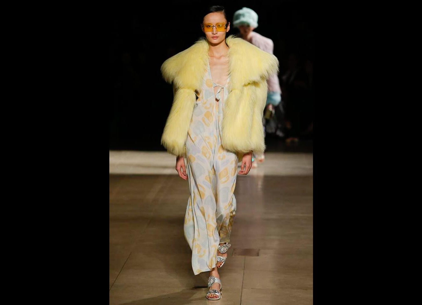 Miu Miu _2017_fall_pfw1